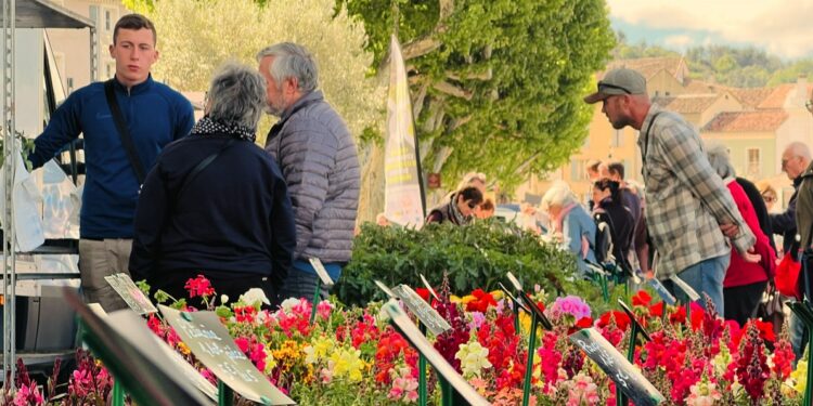 Les fleuralies soufflent un air de printemps sur Vaison-la-Romaine ce jeudi 8 mai