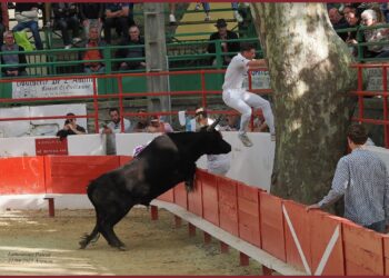 Traditions camarguaises : le Club Taurin Aramonais célèbre le printemps