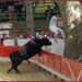 Traditions camarguaises : le Club Taurin Aramonais célèbre le printemps