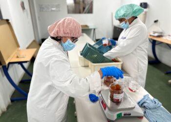 Territoire Zéro Chômeur de Longue Durée : où en est le Pays d’Apt ?