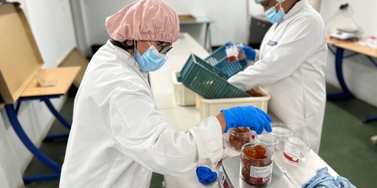 Territoire Zéro Chômeur de Longue Durée : où en est le Pays d’Apt ?