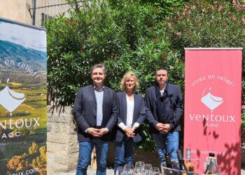 « Vivez en relief », c’est le slogan de l’AOC Ventoux qui cultive l’attractivité du Géant de Provence
