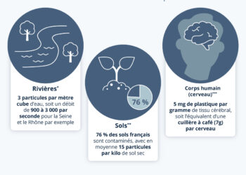 Microplastiques, une pollution invisible de grande ampleur