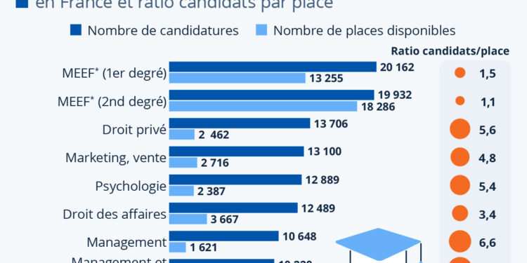 Universités françaises : quels sont les masters les plus demandés ?