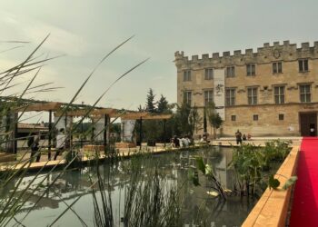 Avignon, un oasis au pied du Petit palais