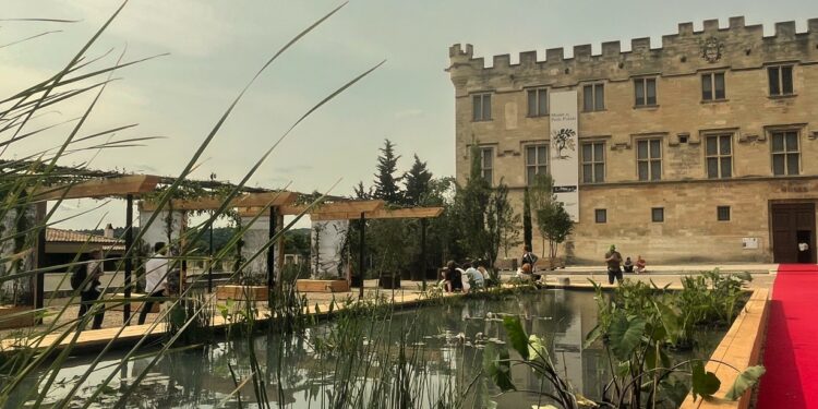 Avignon, un oasis au pied du Petit palais