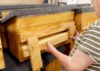 Apt : Zou Vaï reçoit un Prix de l’Inspiration pour son engagement