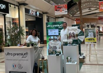 Aushopping : une boutique éphémère pour mieux nourrir nos chiens & chats
