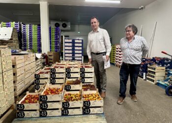 Depuis 60 ans, le MIN de Cavaillon se veut un acteur dynamique ancré dans son territoire