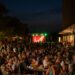 Cave de Sylla : les vignerons font leur bal