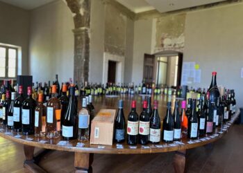 300 bouteilles de vin mises aux enchères au profit de l’hôpital d’Apt