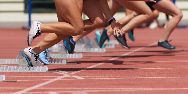 La Conférence Régionale du Sport fait étape en Vaucluse