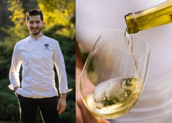 Pertuis : le restaurant L’Olivier met l’univers viticole de Provence en lumière tout l’été