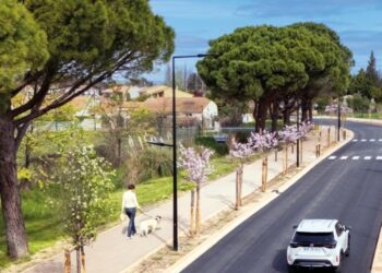 Orange, 6M€ pour l’avenue des Courrèges