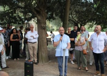 David Fournier : « Il faut libérer le potentiel d’Avignon »
