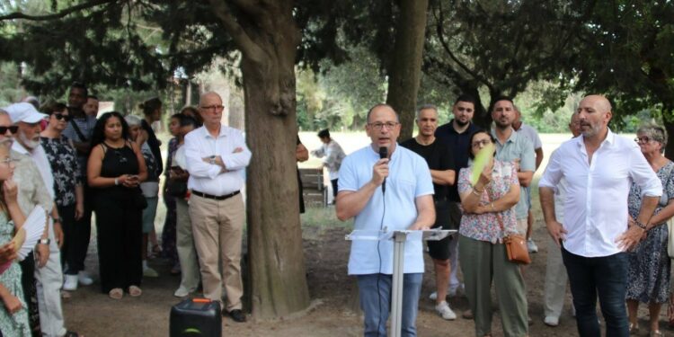 David Fournier : « Il faut libérer le potentiel d’Avignon »