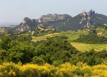 Une levée de fonds pour les Dentelles de Montmirail