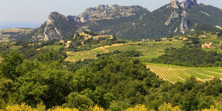 Une levée de fonds pour les Dentelles de Montmirail