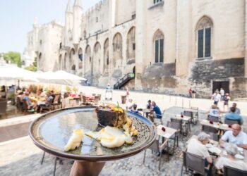 Où trouve t’on le plus de bars et restaurants en Vaucluse ?