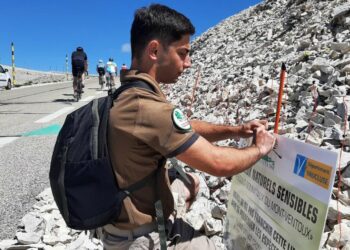 Tour de France : Le Parc naturel régional du Ventoux veille sur le ‘Géant de Provence’