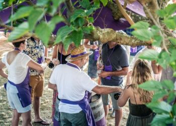(Vidéo) Fête du vin, Cairanne célèbre ses 50 ans