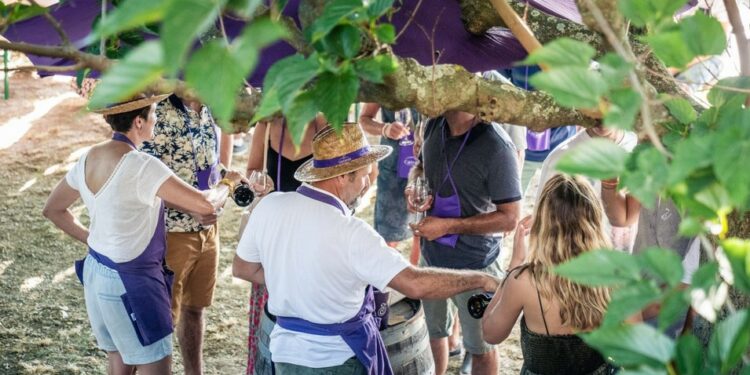 (Vidéo) Fête du vin, Cairanne célèbre ses 50 ans