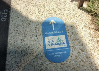 Les véloroutes, championnes des politiques publiques