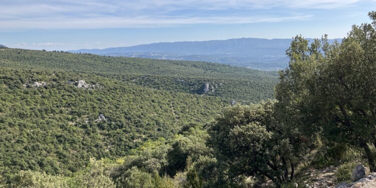 Risque incendie : quasiment tous les massifs de Vaucluse interdits d’accès