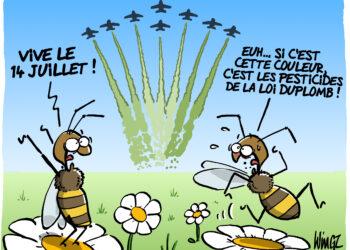 La loi Duplomb vue par Wingz pour l’Echo du Mardi