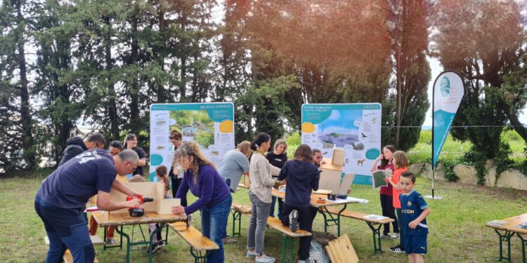 (Vidéo) Relevez le Défi familles de la biodiversité avec Le Parc du Ventoux