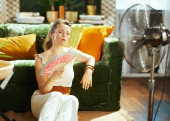 Canicule : 1 Français sur 4 prêt à déménager si la situation empire