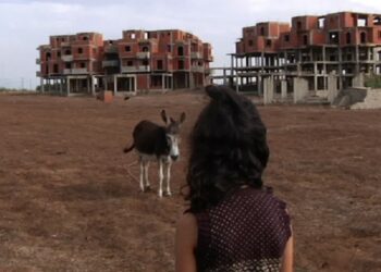 Avignon, Eglise des Célestins, Musée des curiosités