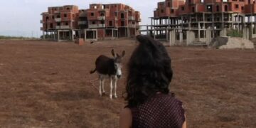 Avignon, Eglise des Célestins, Musée des curiosités