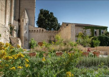 Avignon, Palais des papes, et si on sirotait un dernier verre aux jardins ?