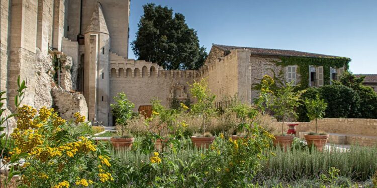 Avignon, Palais des papes, et si on sirotait un dernier verre aux jardins ?