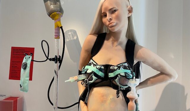 Isle-sur-la-Sorgue, Villa Datris Vive les femmes engagées