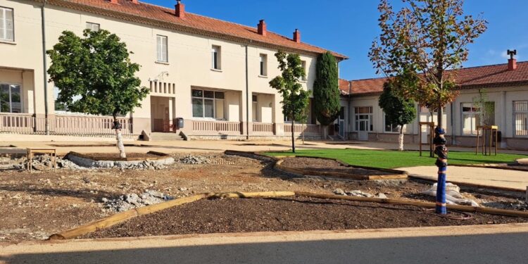Le Pontet : pour la rentrée, les écoliers de Marie-Curie et Pasteur vont voir la vie en vert avec une nouvelle cour de récréation 