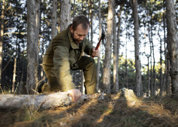 Chasse à la campagne : Projet de gestion cynégétique 2025-2032