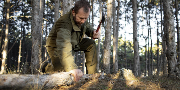 Chasse à la campagne : Projet de gestion cynégétique 2025-2032