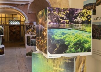 Exposition : une plongée au cœur des fleuves, rivières et cours d’eau du Vaucluse