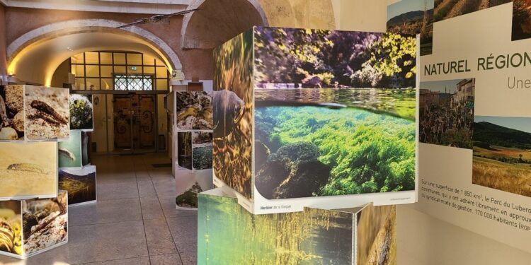 Exposition : une plongée au cœur des fleuves, rivières et cours d’eau du Vaucluse