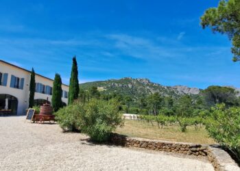 Été radieux au Domaine de Coyeux entre fiesta et nouba au pied des Dentelles de Montmirail