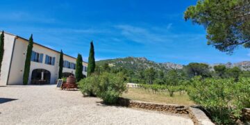 Été radieux au Domaine de Coyeux entre fiesta et nouba au pied des Dentelles de Montmirail