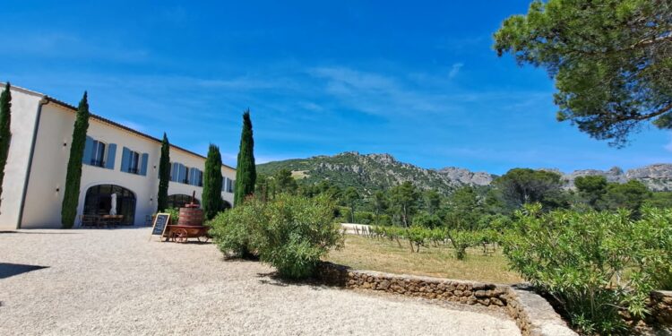 Été radieux au Domaine de Coyeux entre fiesta et nouba au pied des Dentelles de Montmirail