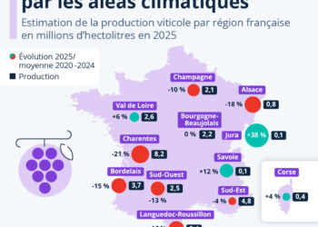 La production viticole affectée par les aléas climatiques