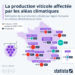 La production viticole affectée par les aléas climatiques