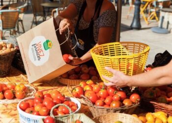 Vaucluse : les marchés du soir des producteurs continuent jusqu’au mois d’octobre