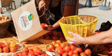 Vaucluse : les marchés du soir des producteurs continuent jusqu’au mois d’octobre