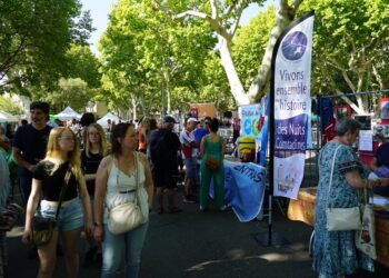 La Ville de Carpentras, labellisée Fête du Sport, organise le Forum des associations