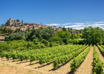 ‘PestiRiv’, l’étude d’exposition aux pesticides chez les riverains des zones viticoles révélée ce lundi